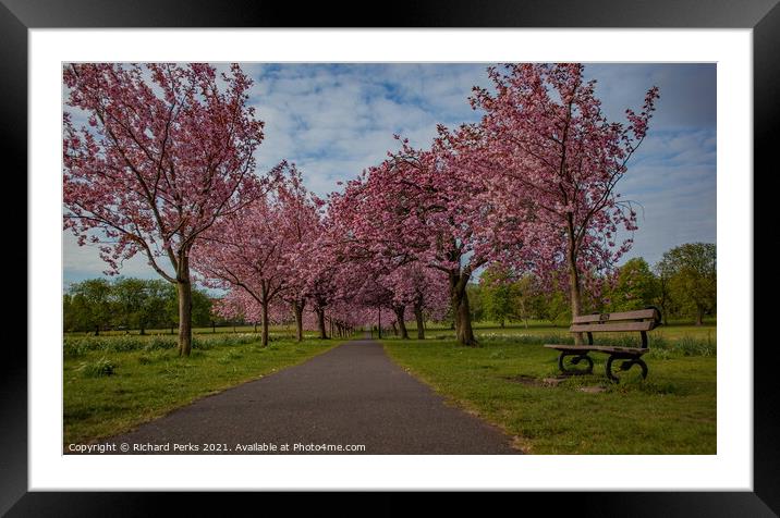 Taking a stroll on the Stray  - Harrogate Framed Mounted Print by Richard Perks