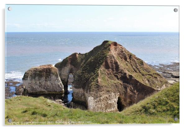 Flamborough Yorkshire Drinking Dinosaur  Acrylic by Liann Whorwood