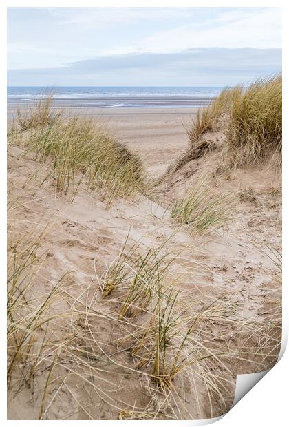 Marram grass on the dunes at Formby Print by Jason Wells