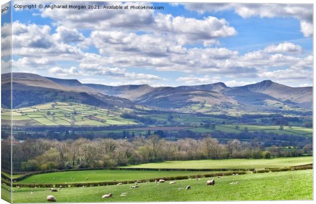 Springtime in the Mountains  Canvas Print by Angharad Morgan