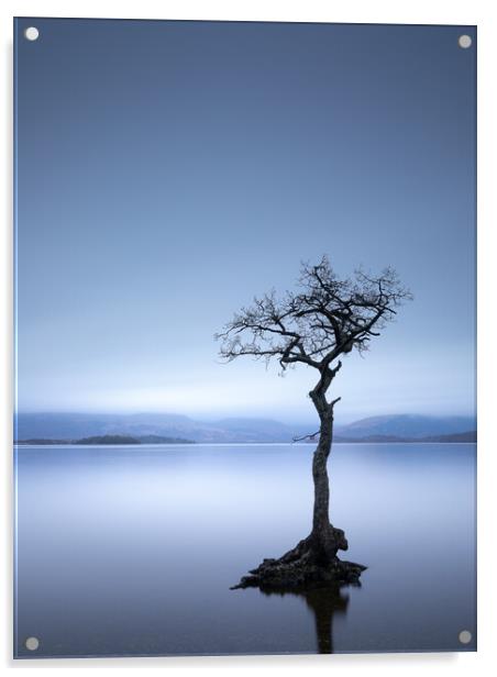 Loch Lomond Scotland Acrylic by Phil Durkin DPAGB BPE4