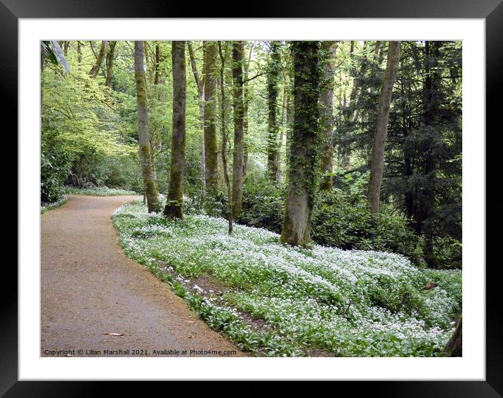 Townley Park. Framed Mounted Print by Lilian Marshall