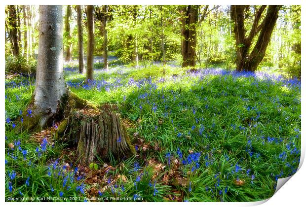 Bluebells at Bluebell Woods - Crickhowell Print by Karl McCarthy