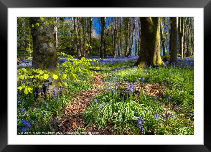 Bluebells at Bluebell Woods - Crickhowell Framed Mounted Print by Karl McCarthy