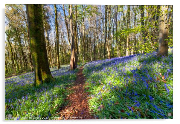 Bluebells at Bluebell Woods - Crickhowell Acrylic by Karl McCarthy
