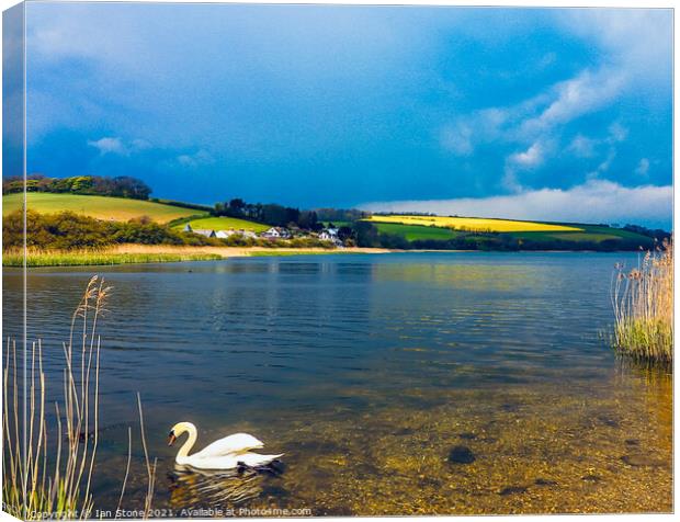 Swan Lake Canvas Print by Ian Stone