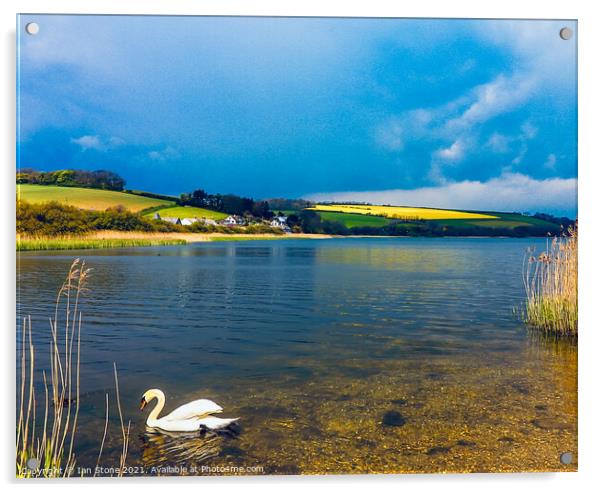 Swan Lake Acrylic by Ian Stone