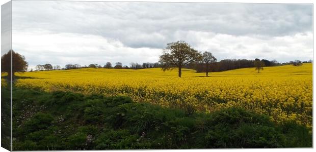 Spring field in kent Canvas Print by Deborah Welfare