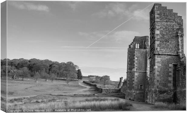 Bradgate House Ruins in Black and White Canvas Print by Chris Haynes
