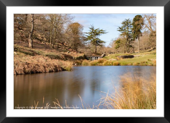 Bradgate Park Woodland and Water Framed Mounted Print by Chris Haynes