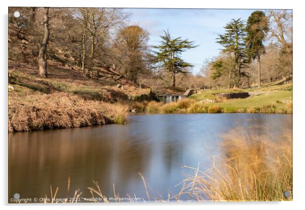 Bradgate Park Woodland and Water Acrylic by Chris Haynes