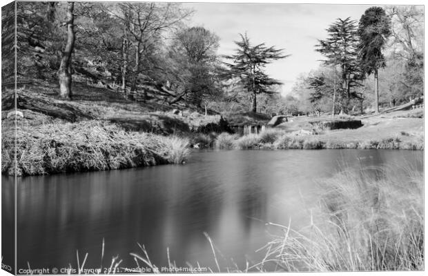 Bradgate Park Woodland and Water in Black and White Canvas Print by Chris Haynes