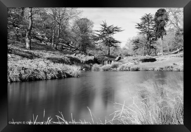 Bradgate Park Woodland and Water in Black and White Framed Print by Chris Haynes