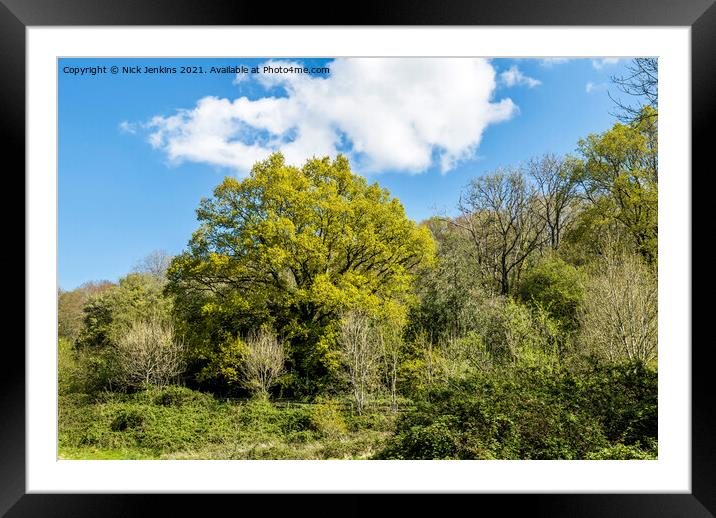 Busy Woodland on the Gloucestershire side of the River Wye Framed Mounted Print by Nick Jenkins