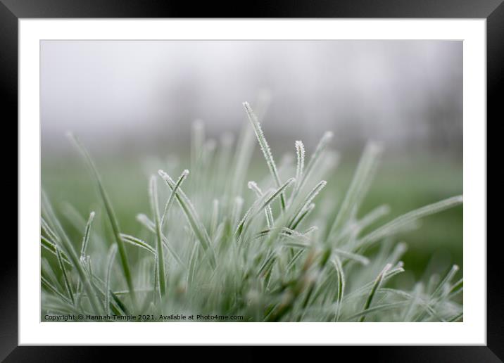 Frosty grass Framed Mounted Print by Hannah Temple