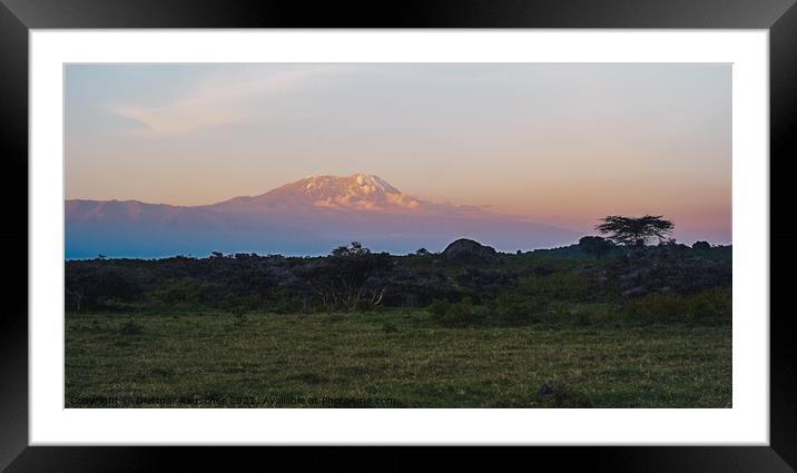 Kilimanjaro at Dusk with Snow on the Summit Framed Mounted Print by Dietmar Rauscher