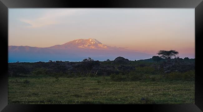 Kilimanjaro at Dusk with Snow on the Summit Framed Print by Dietmar Rauscher