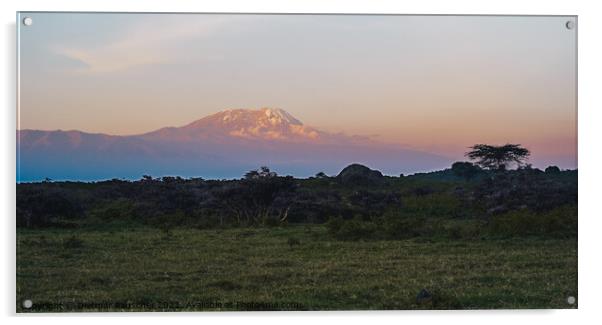 Kilimanjaro at Dusk with Snow on the Summit Acrylic by Dietmar Rauscher