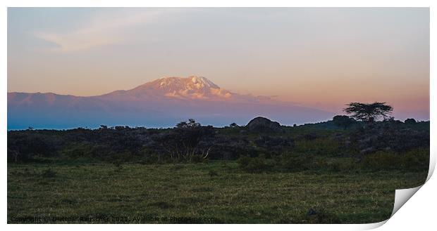 Kilimanjaro at Dusk with Snow on the Summit Print by Dietmar Rauscher