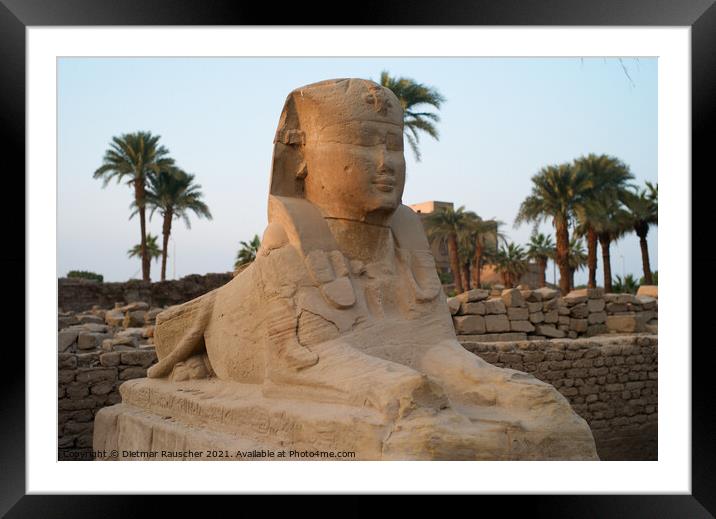 Sphinx at the Entrance of Luxor Tmeple Framed Mounted Print by Dietmar Rauscher