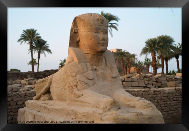 Sphinx at the Entrance of Luxor Tmeple Framed Print by Dietmar Rauscher