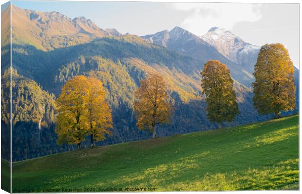 Four Trees with Golden Foliage in a Stunning Alpine Landscape Canvas Print by Dietmar Rauscher