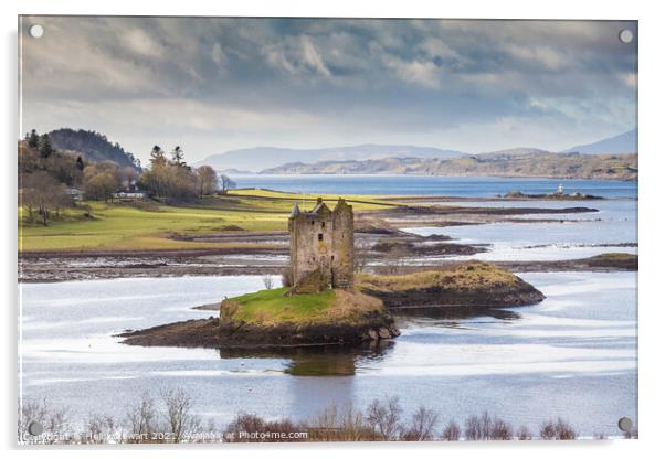 Castle Stalker Scotland Acrylic by Heidi Stewart