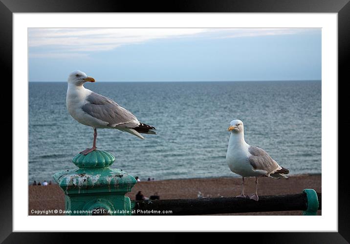 Wait your Turn!!! Framed Mounted Print by Dawn O'Connor