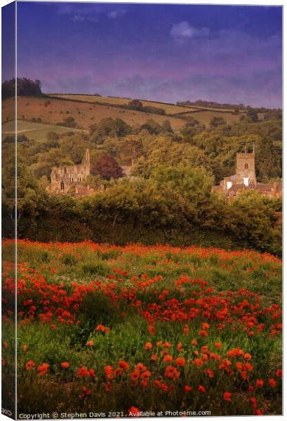 Poppies view of a Shropshire village  Canvas Print by Stephen Davis