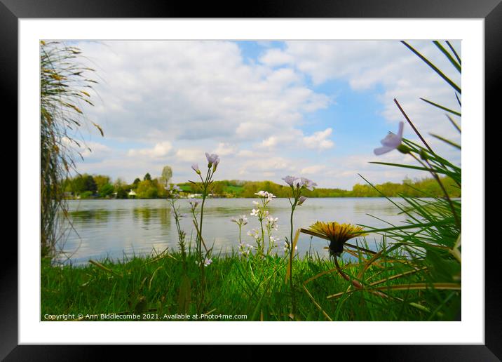Wild flowers around the Cappy lake Framed Mounted Print by Ann Biddlecombe