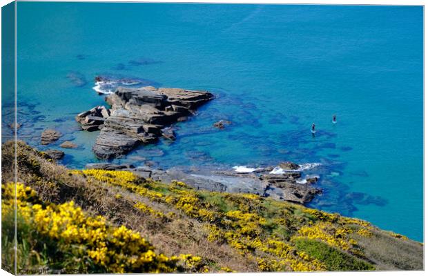 Paddle boarders framed by out of focus gorse flowe Canvas Print by Peter Barber