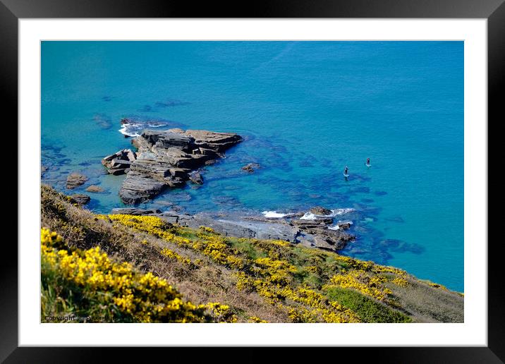 Paddle boarders framed by out of focus gorse flowe Framed Mounted Print by Peter Barber