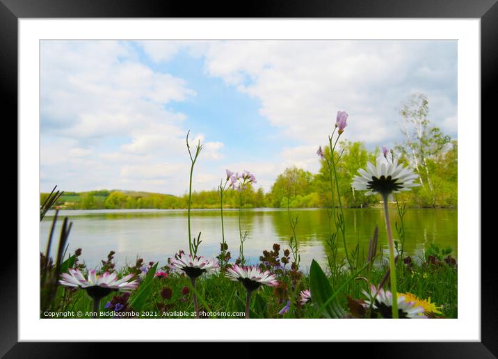 View across the lake Framed Mounted Print by Ann Biddlecombe