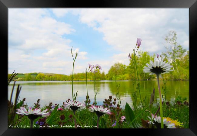 View across the lake Framed Print by Ann Biddlecombe