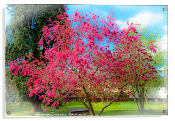 Spring Tree Blossom Acrylic by Graham Lathbury