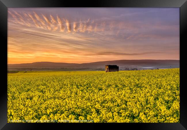 Fields Of Gold Sunset Framed Print by Wight Landscapes