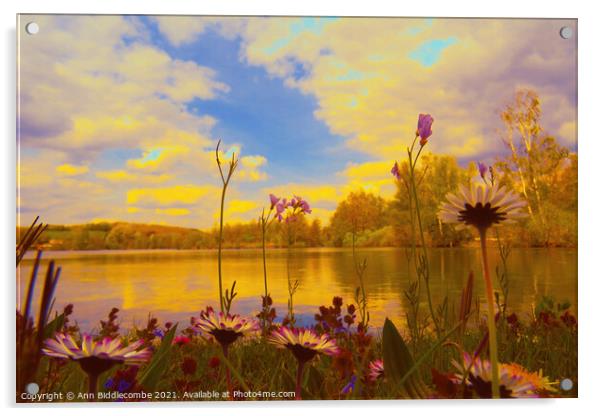 View across the lake enhanced Acrylic by Ann Biddlecombe