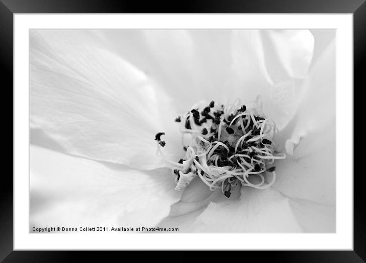 Black & White Twist Framed Mounted Print by Donna Collett