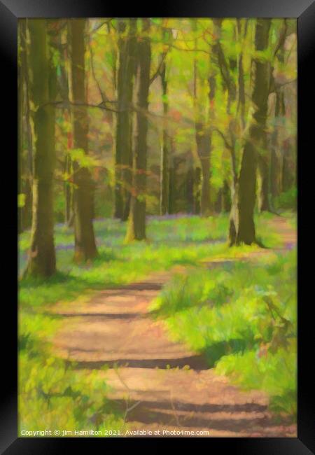 Bluebell forest Framed Print by jim Hamilton