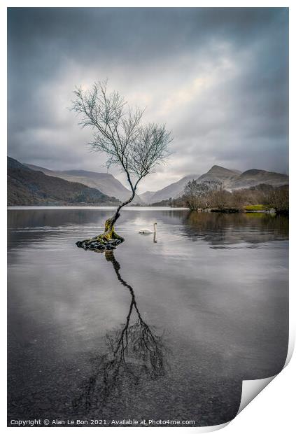 Tranquil Reflections Print by Alan Le Bon