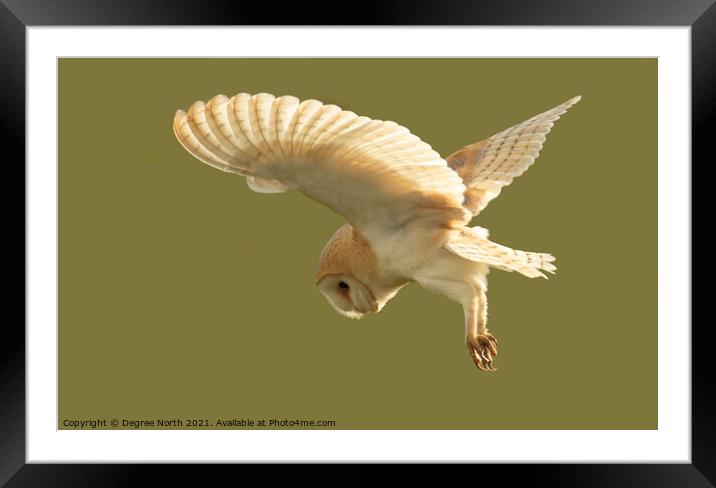 A bird flying in the sky Framed Mounted Print by Degree North