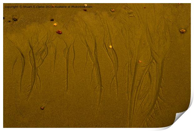 Sand Print by Stuart C Clarke