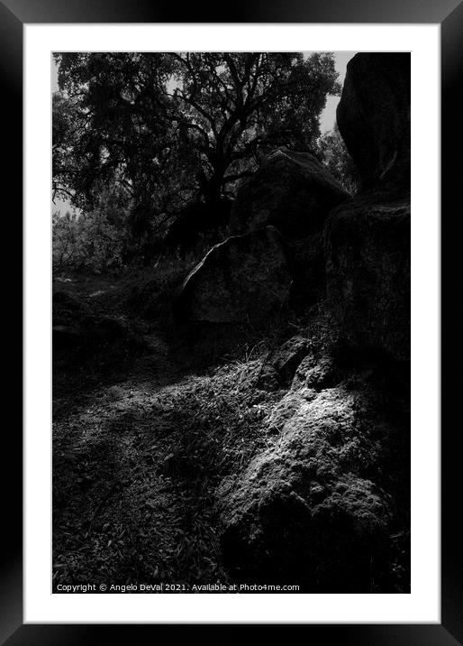 Forest Spot Light Framed Mounted Print by Angelo DeVal