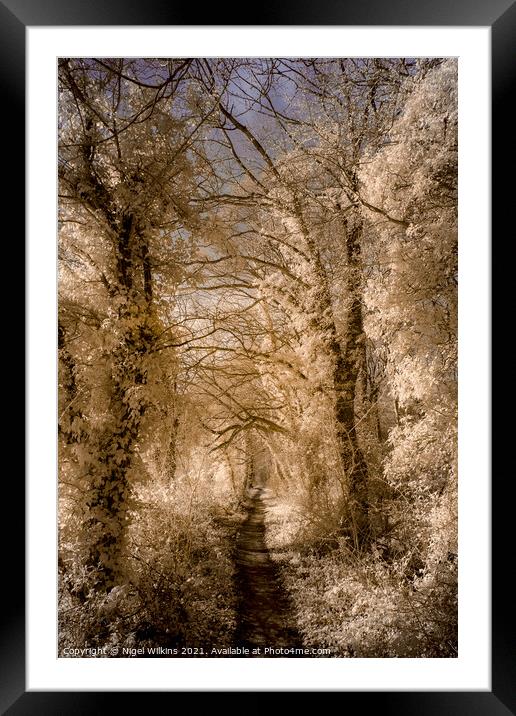 A Path Through the Trees Framed Mounted Print by Nigel Wilkins