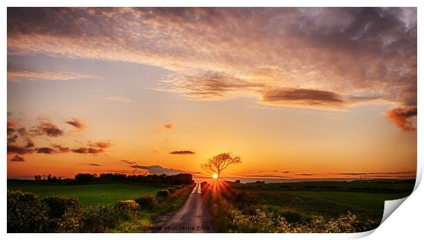 West Kilbride Sunset Print by Michael Crossland