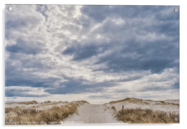 Dunes on Skallingen at the North Sea in rural western Denmark Acrylic by Frank Bach