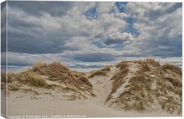 Dunes on Skallingen at the North Sea in rural western Denmark Canvas Print by Frank Bach