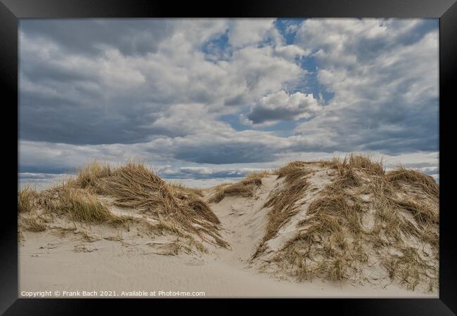 Dunes on Skallingen at the North Sea in rural western Denmark Framed Print by Frank Bach