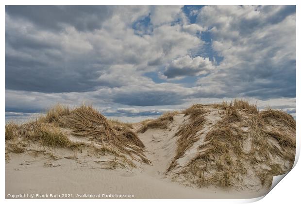 Dunes on Skallingen at the North Sea in rural western Denmark Print by Frank Bach