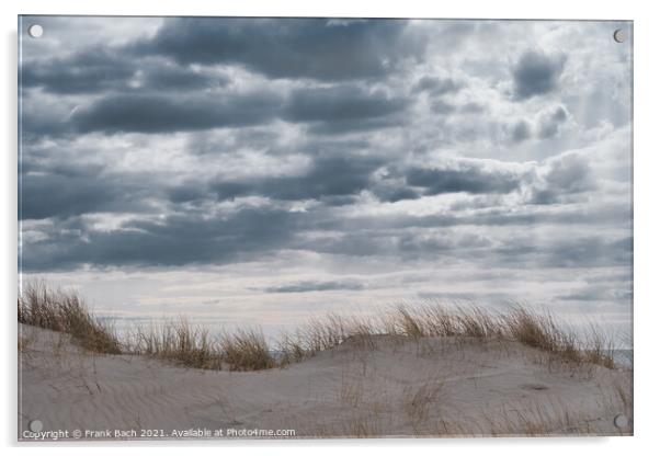 Dunes on Skallingen at the North Sea in rural western Denmark Acrylic by Frank Bach